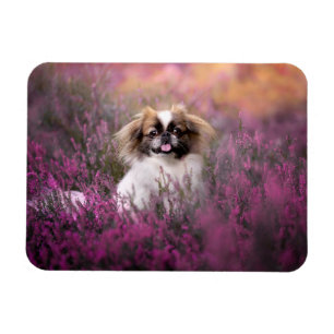 Magnet Flexible Animaux de bébés cutest Pekingese Puppy
