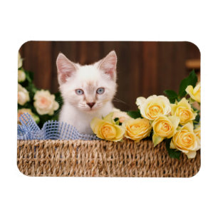 Magnet Flexible Animaux de bébés cutest   Roses chats et jaunes