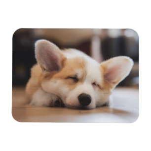 Magnet Flexible Animaux de bébés cutest   Sleepy Corgi