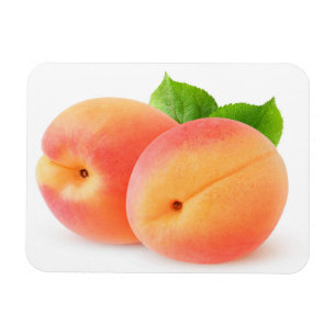 Magnet Flexible Apricots frais