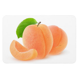 Magnet Flexible Apricots frais