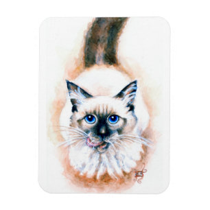 Magnet Flexible Aquarelle de chat de Siamese