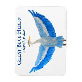 Magnet Flexible Aquarelle d'oiseau scientifique Grand Héron bleu