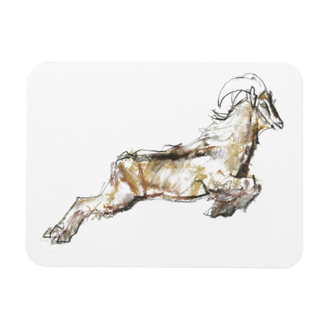 Magnet Flexible Arabian Tahr 2009 (Horizontal)