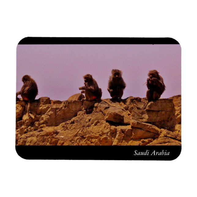 Magnet Flexible Arabie saoudite (Horizontal)