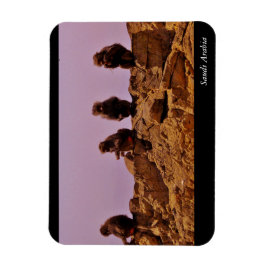 Magnet Flexible Arabie saoudite