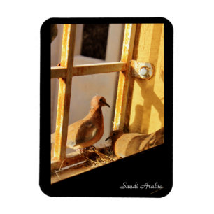 Magnet Flexible Arabie saoudite