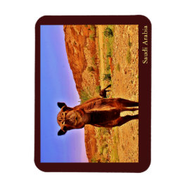 Magnet Flexible Arabie saoudite