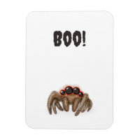 Araignée éffrayante "Boo !" Aimant d'Halloween
