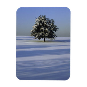 Magnet Flexible Arbre dans le paysage couvert de neige