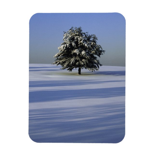 Magnet Flexible Arbre dans le paysage couvert de neige (Vertical)