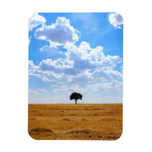 Magnet Flexible Arbre dans un champ de blé récolté