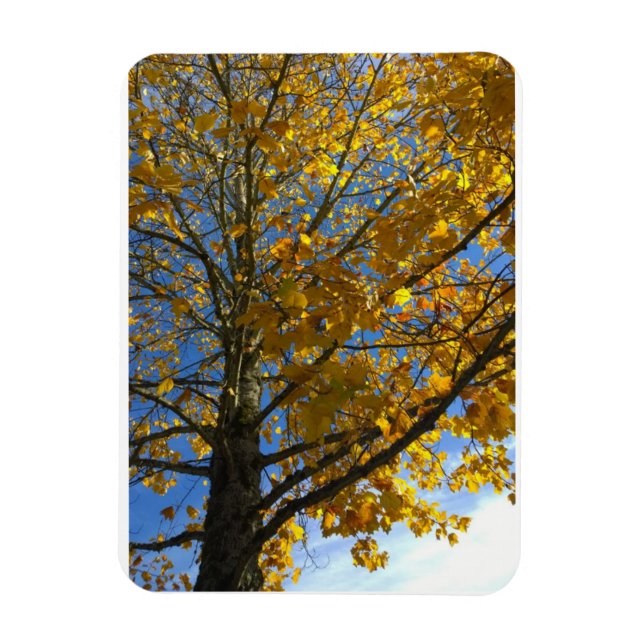 Magnet Flexible Arbre d'automne jaune (Vertical)