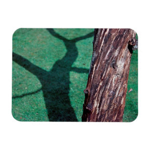Magnet Flexible Arbre mort