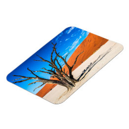 Magnet Flexible Arbre mort à Deadvlei, Namibie