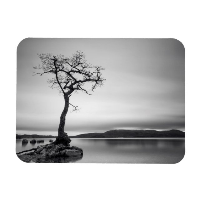 Magnet Flexible Arbre nu (Horizontal)
