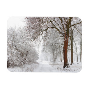 Magnet Flexible Arbre Parc Stupinigi, Italie