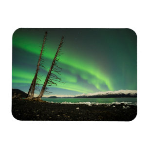 Magnet Flexible Arbre penché Aurora
