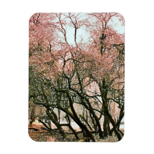 MAGNET FLEXIBLE ARBRES