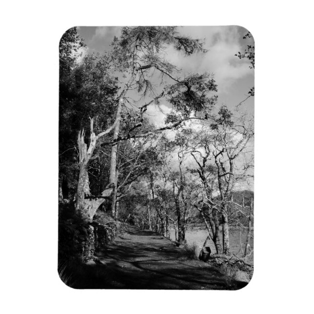 MAGNET FLEXIBLE ARBRES (Vertical)