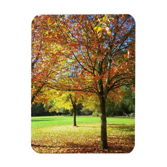 Magnet Flexible Arbres d'automne colorés (Vertical)