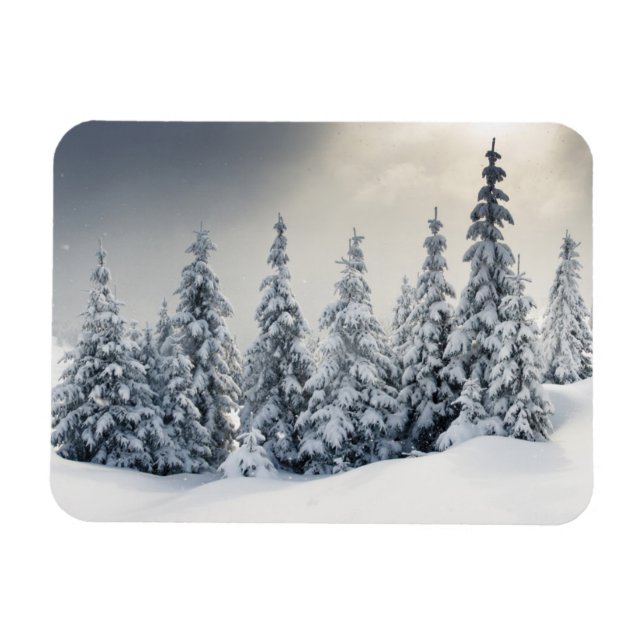 Magnet Flexible Arbres Recouverts De Hoarfrost Et De Neige (Horizontal)
