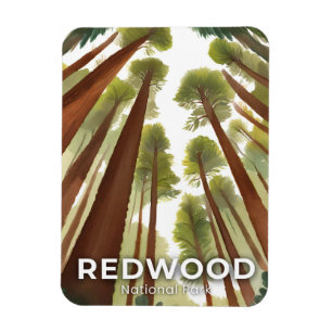 Magnet Flexible Arbres Redwood Parc National Aquarelle Voyage