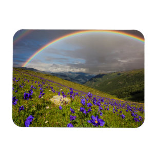 Magnet Flexible Arc En Ciel Sur Un pré Fleuri