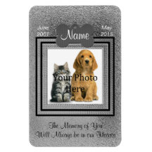 Argent individuel pour chat ou chien