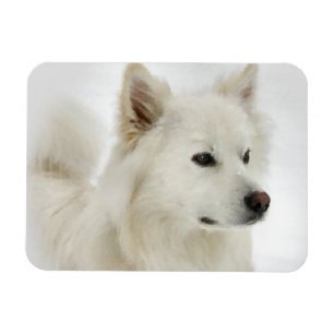 Magnet Flexible Art américain de chien esquimau