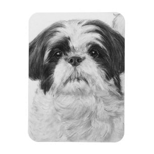 Magnet Flexible Art noir et blanc de Shih Tzu