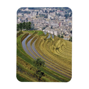 Magnet Flexible Asie, Chine, province du Yunnan, Jinping. Jinping