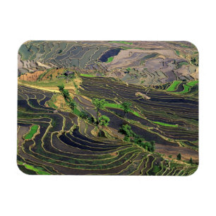 Magnet Flexible Asie, Chine, Yunnan, Honghe. Terrasses de riz à p