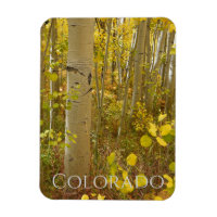 Aspect d'automne sur Independence Pass Colorado
