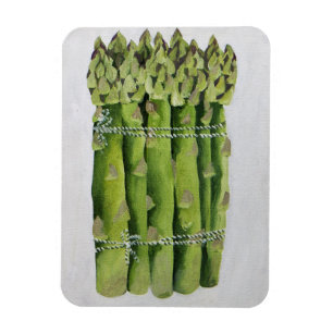 Magnet Flexible Asperge 2013