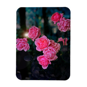 Magnet Flexible Aspirer un aimant photo flexible