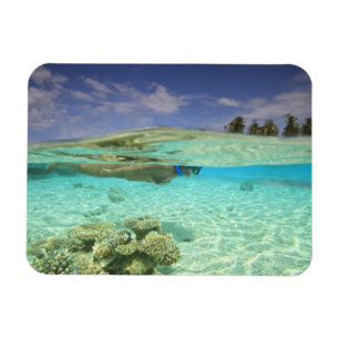 Magnet Flexible Atoll de Huvadhoo Sud, Maldives Sud, Inde