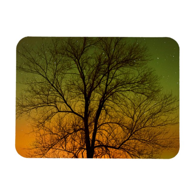 Magnet Flexible Aurora Borealis & Cottonwood Tree (Horizontal)