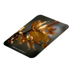 Magnet Flexible Automne