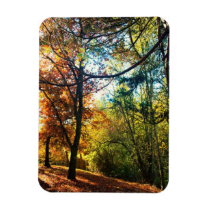 Magnet Flexible Automne après-midi