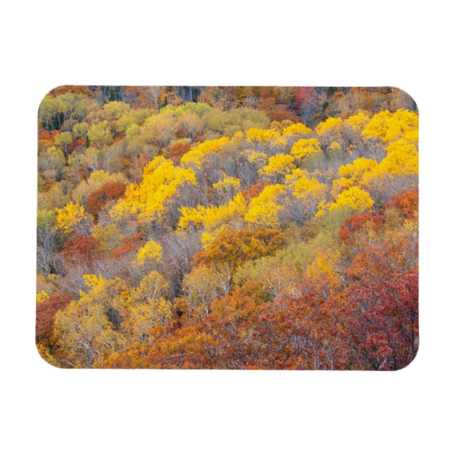 Magnet Flexible Automne dans le Michigan (Horizontal)