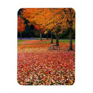 Magnet Flexible Automne dans le parc