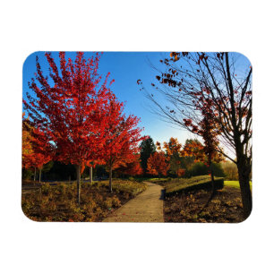 Magnet Flexible Automne dans le parc, Oregon