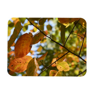 Magnet Flexible Automne Feuilles Coup d'oeil Automne Photographie