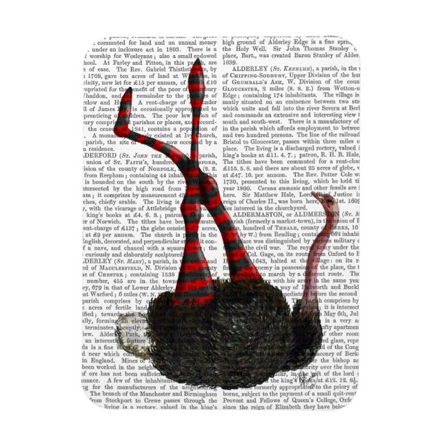 Magnet Flexible Autruche avec pattes rayées (Vertical)