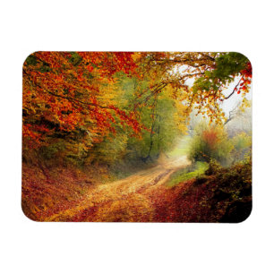 Magnet Flexible Autumn Leaves and Trees Covering Dirt Road