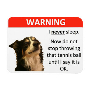 Magnet Flexible Avertissement de balle de tennis (border collie)