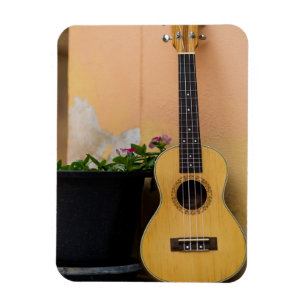 Magnet Flexible Awesome Bass Guitare