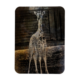 Magnet Flexible Baby Giraffe