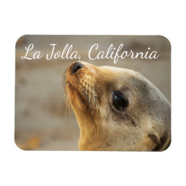 Magnet Flexible Baby Sea Lion, La Jolla, Californie